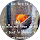 Barbara Eggel profile picture